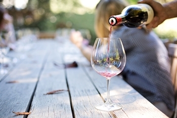 Louize Winery