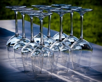 Julia Winery